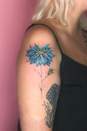 Love in a mist #tattoo #tattoos #tatts #uk #nottingham #colourfultattoos #watercolourtattoo #flowertattoo #botanicaltattoo #flowers #colour #uktattoos #nottinghamtattoos #inked #ink #colours #floral #floraltattoo #tattooideas #tattoodesign #details #tattoodetails #greenpower #green #detailedtattoos #microrealism #femininetattoos #delicatetattoos 