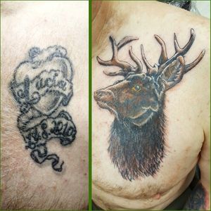 Stag cover up