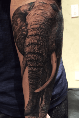 Stunning forearm tattoo featuring a realistic blackwork elephant design by Jake Masri.