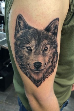 #wolf #wolftattoo #animal #animalportrait #realism #realistic #realismo 