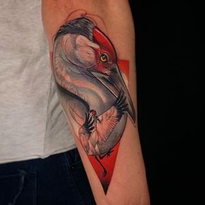 Whooping Crane#neotraditionaltattoos #neotraditionaltattoo #neotraditional #crane #colortattoo 