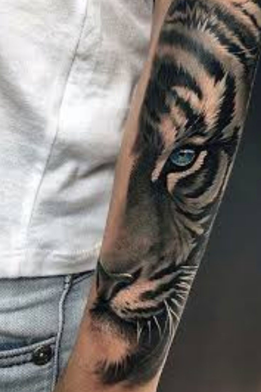 Blue eyes black and grey Tiger   Needles  Pins Tattoo  Facebook