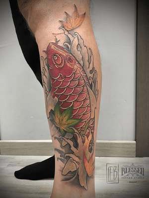 Koi fish 