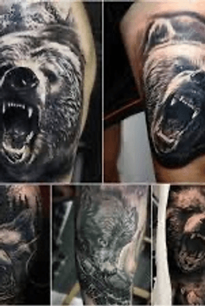 Looking for a realism tattoo artist to help me with a wolf vs bear tattoo!! If you do not specialize in realism and true technique do not message me because I will not reply!