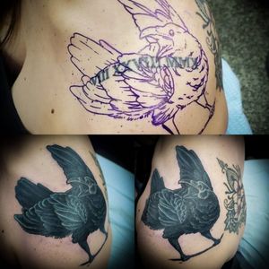 Raven cover up