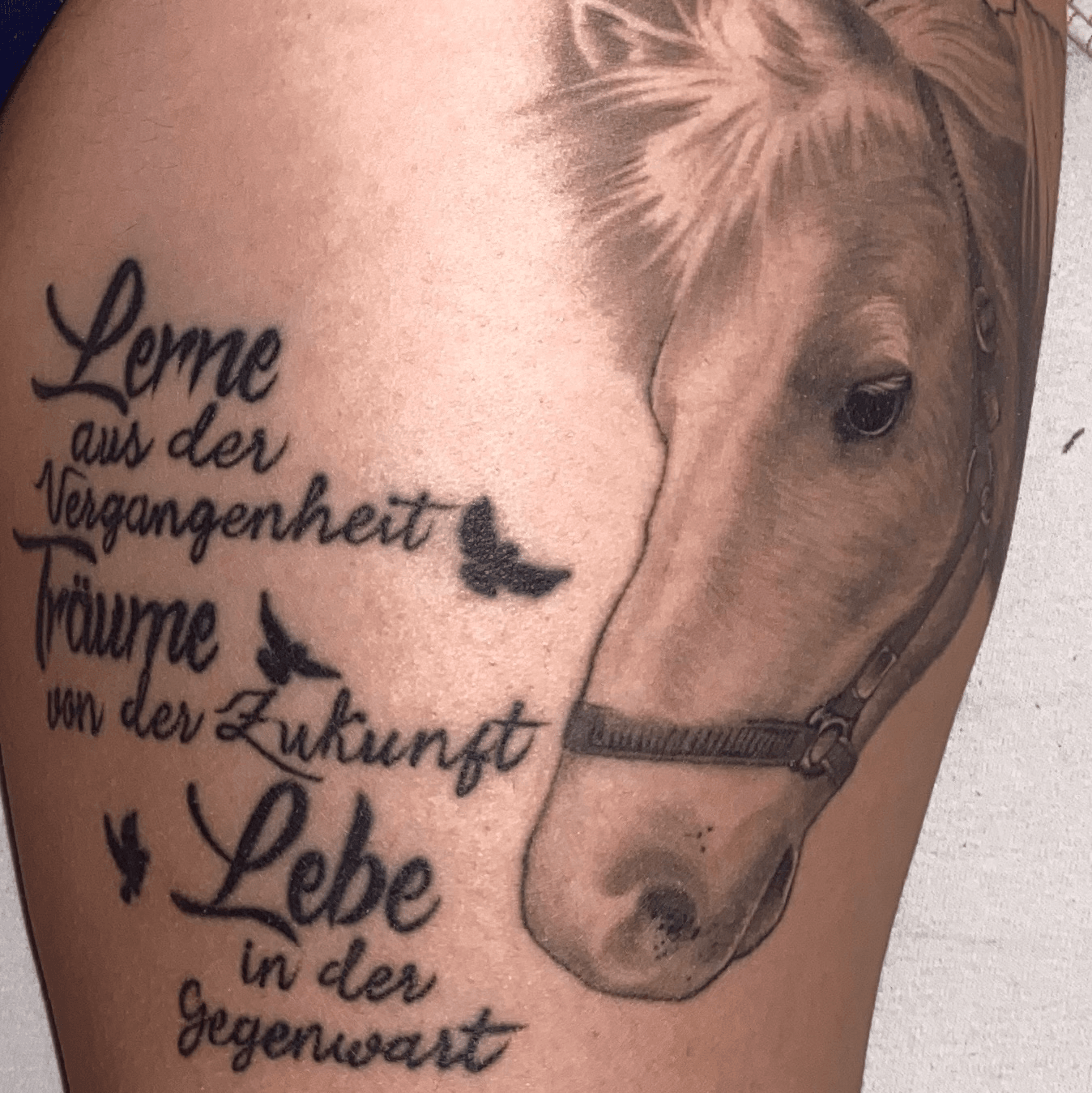 Horses And Freedom Quotes Tattoos QuotesGram