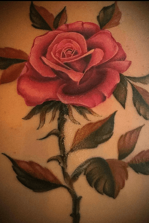 Color Rose