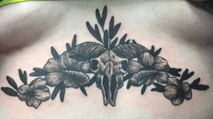 1st Sternum I’ve got to tattoo, freedom of design to 🙂 Rams skull and floral design in black and grey 