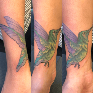 Hummingbird cover up