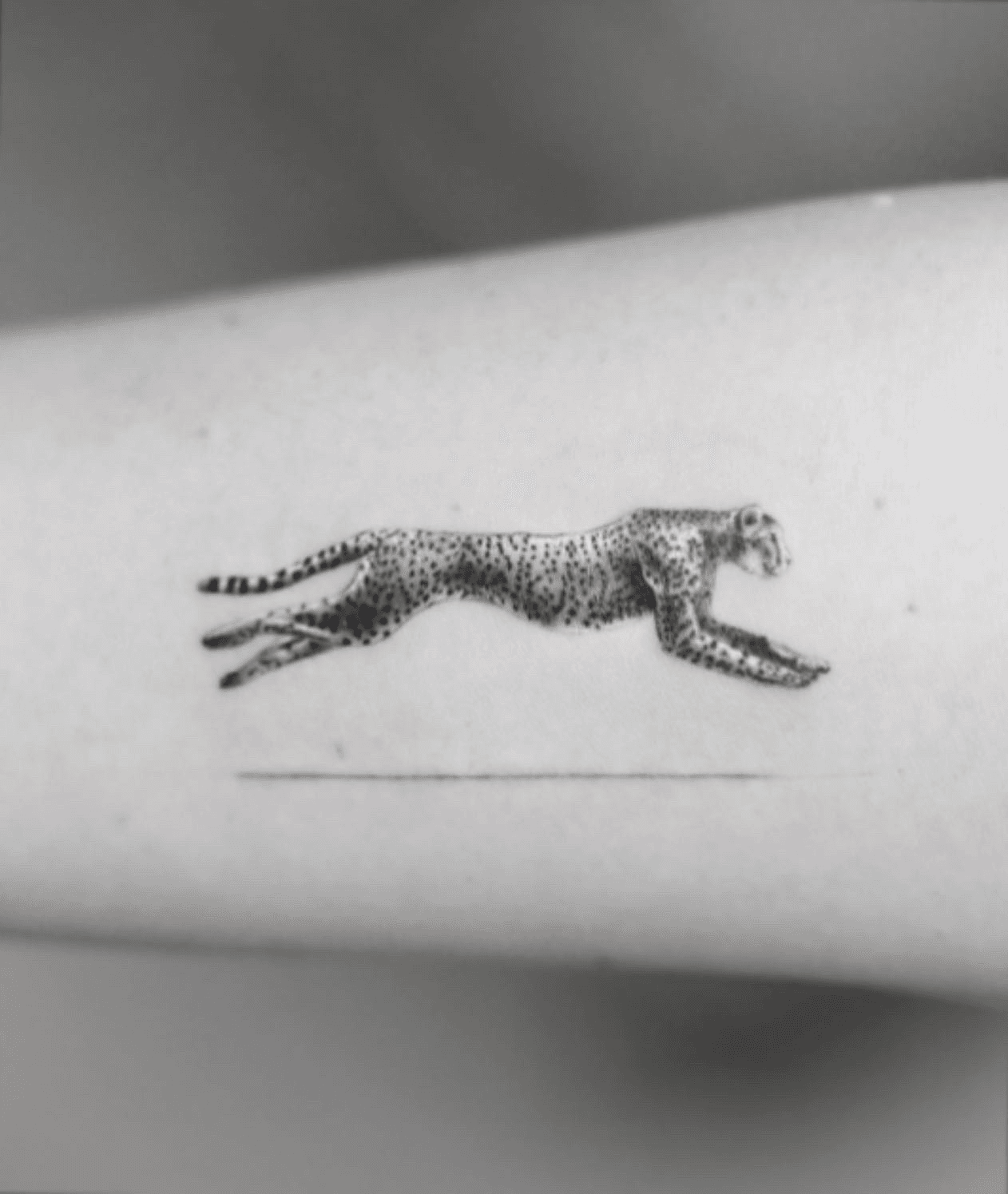 Cheetah Tattoo Sketch by Gerda on Dribbble