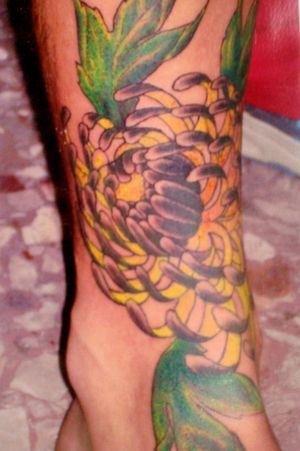 Another bad photo of a fun foot chrysanthemum I did at the Rome convention in 2003