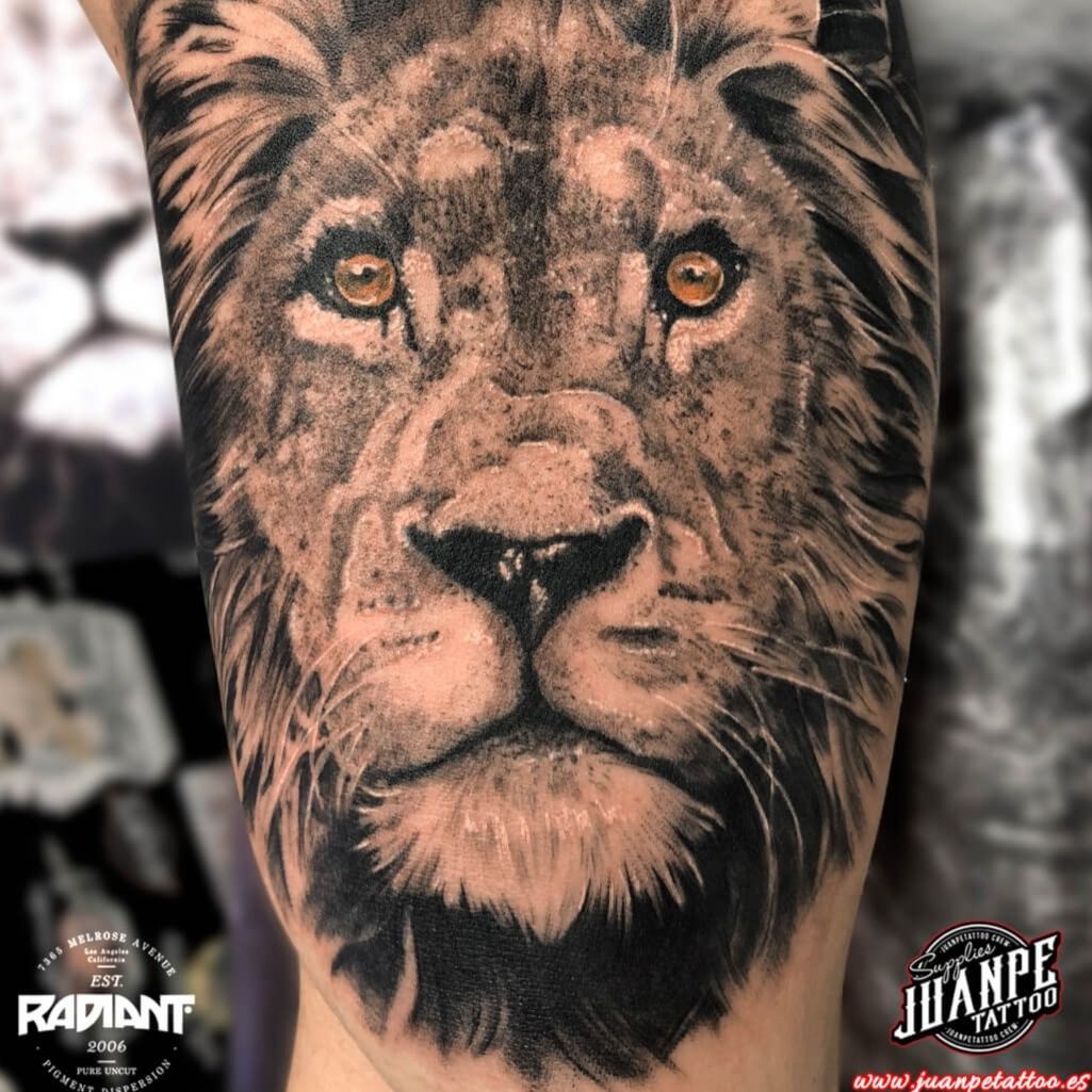 Cosmic Tattoo  Leighs client wanted a badass lion that  Facebook