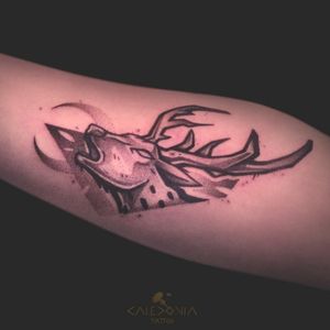 "Stag"Find me in my new home at @arcanebodyarts.Bookings open, contact me directly on my website: www.caledoniatattoo.com#stag #stagtattoo #graphictattoo #animaltattoo #deertattoo #deer