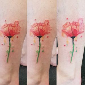 Watercolour poppy tattoo for a client 