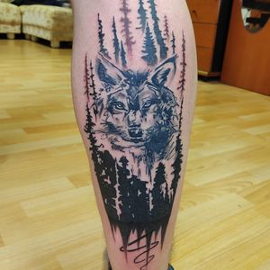 Wolf and nature