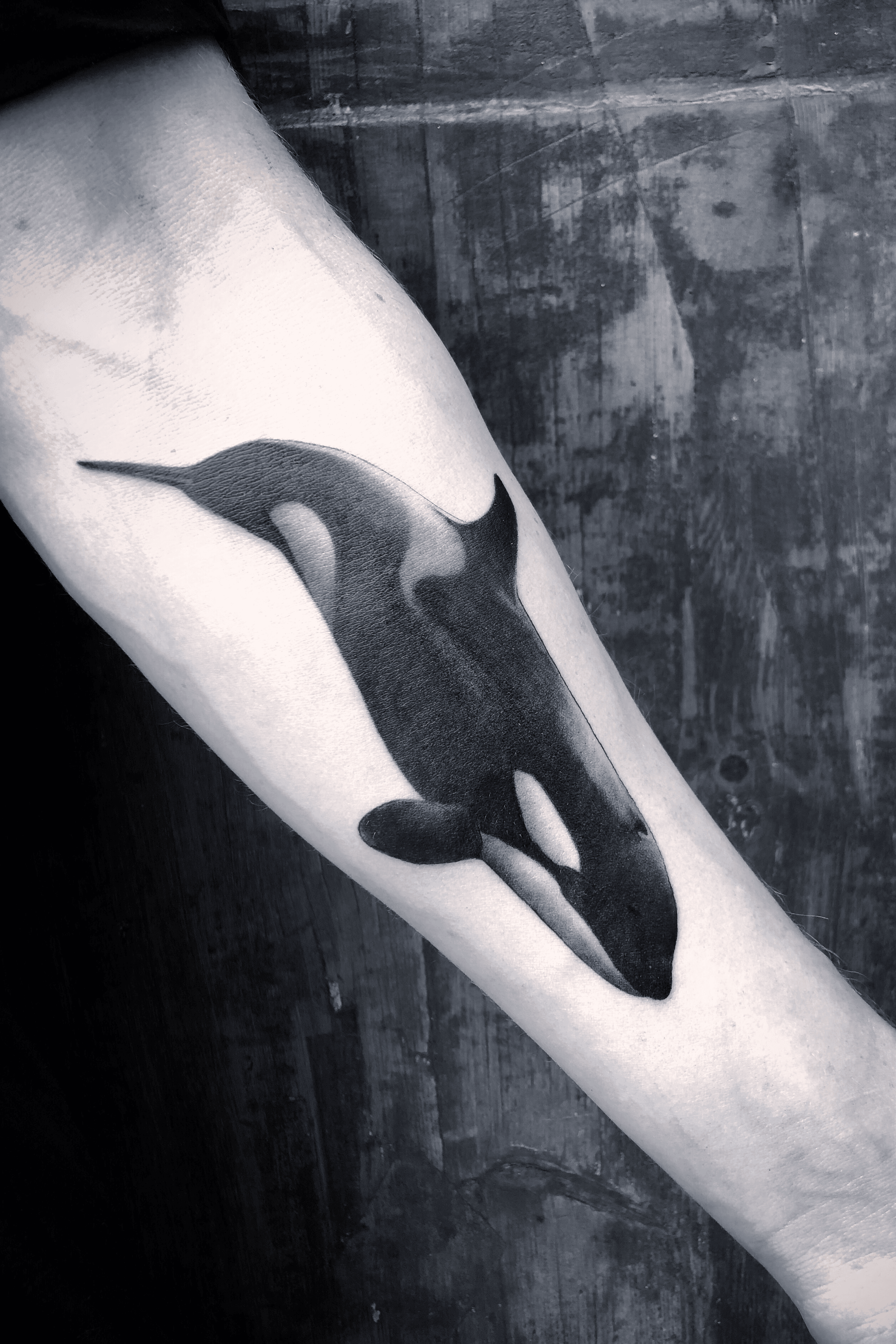 Dotwork Orca Whale Tattoo  Tattooed Now 