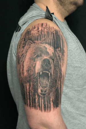 Bear and forest design. 