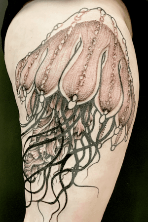 Partial healed partial fresh tattooed.             #truevagabondtattoo#jellyfish#frutademare#qualle#dots#ontheroadtattoo