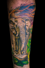 Jungle elephant 