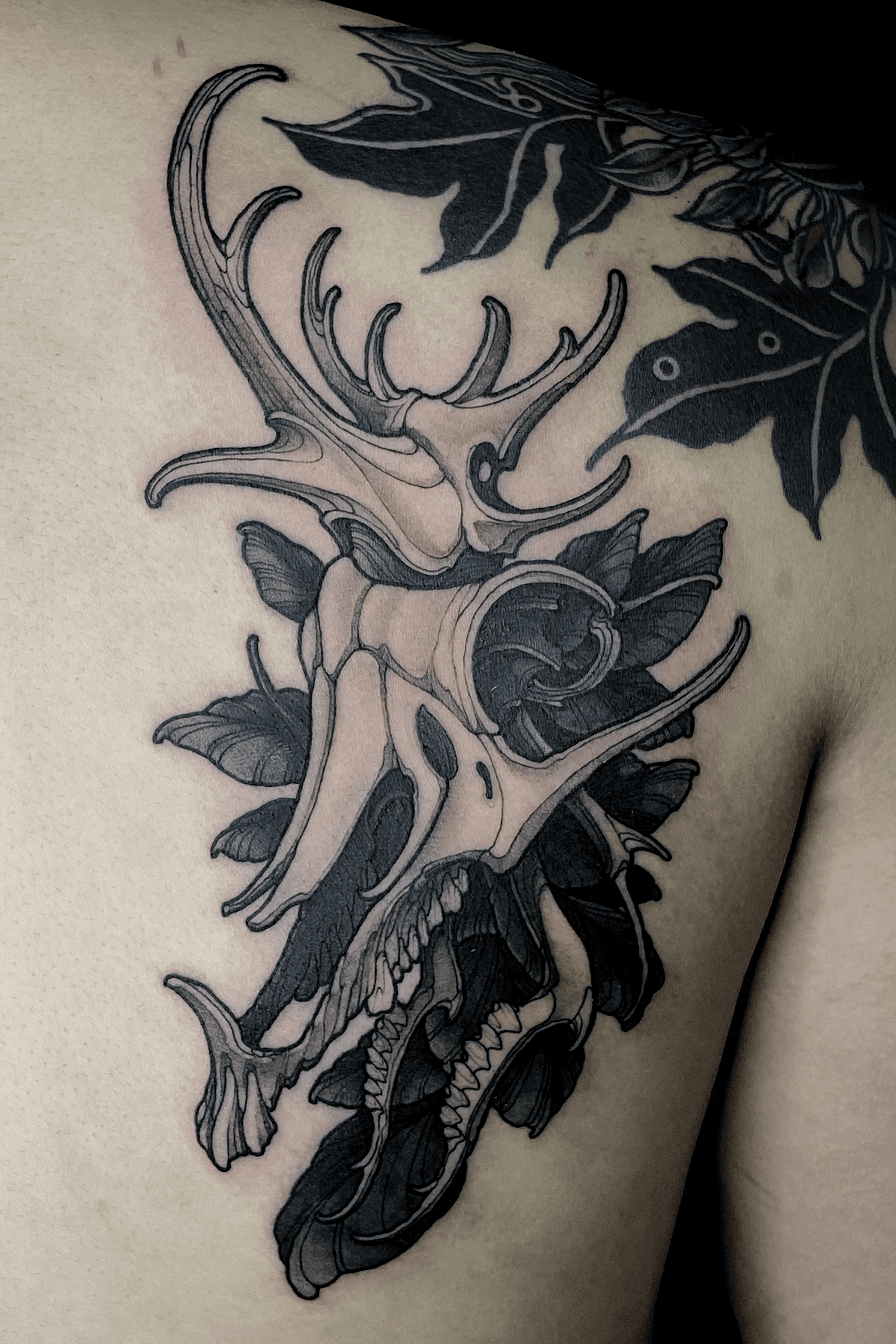 Fine line deer skull tattoo on the inner arm