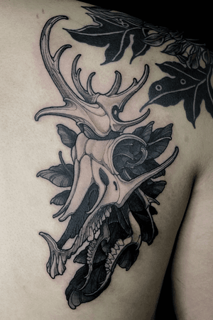 Can’t decided if you want a deer skull or a stag beetle? Get both at once!!! Well certainly he want something unique, an interesting exo-morphing stag beetle to explore. Black and grey for the meantime, with room for some colors :)