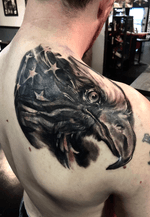 Eagle cover up