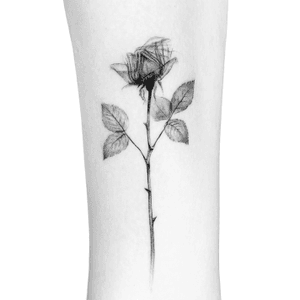 “Sometimes one has suffered enough to have the right to never say: I am too happy.” ― Alexandre Dumas, The Black TulipThank you Bruna for your trust and for the complete freedom with your idea! Sometimes simplicity tells more. Swipe for detail.Done at the beautiful @southcitymarket-Finest black ink in London-Books open for LondonInquiries:peter.laeviv@gmail.com.....#tattoodo #singleneedle #londontattooartist #tattooart #blackandgreytattoo #microrealism #finelinetattoo #fineline #asiagalleryart #ink #tattooing #tattooartist #londontattoo #tattoo #linework #peterlaeviv #laeviv #blackandgrey #singleneedletattoo #microtattoo #btattooing #flowertattoo #TattooistArtMagazine #armtattoo #girltattoo #inkedgirl #rosetattoo #rose #xrayrose #xraytattoo.@theartoftattoos @tiny.tatts @inkstinct.co @inkedmag @blackworkers_tattoo @small.tattoos @tattooselection @pequenostatuajes @tatuajespequenos @tatuages_at_citations @artistasdeltatuaje @blacktattooing @blackworkers @tattoodo 