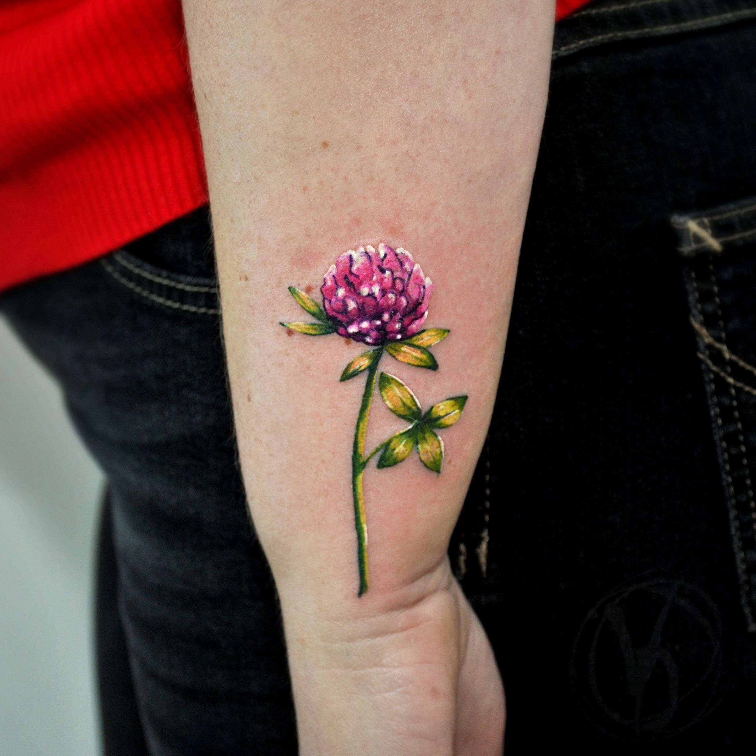 Tattoo uploaded by Jurena Elliw  clover klee flowertattoo blumen  berlin botanical  Tattoodo