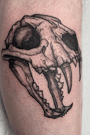 Tiger skulls are still cool right? Been travelling, disconnecting and reconnecting over the holidays, it’s been nice to recharge the batteries! Looking forward to hitting 2020 hard! Would love to do some larger projects and of course unlimited skulls!!.........#tigerskull #skulltattoo #skull #tigertattoo #tiger #humankanvas #qttr #yycart #yyctattoo #blackworktattoo #dotwork #finelinetattoo #femaletattooer #yyctattooer 