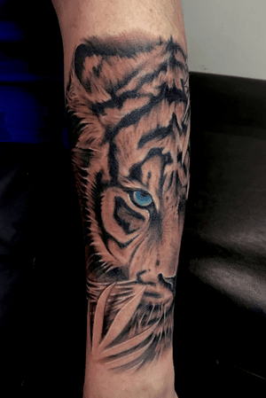 Tiger half sleeve done at Rising Tide Tattoo #tiger #tigertattoo #blackandgreytiger #blueeyedtiger #halfsleeve #bishoprotary #leaf #leaftattoo #oahu #hawaii #hawaiitattooshop #risingtidetattoo #wahiawa #electrumstencilproducts