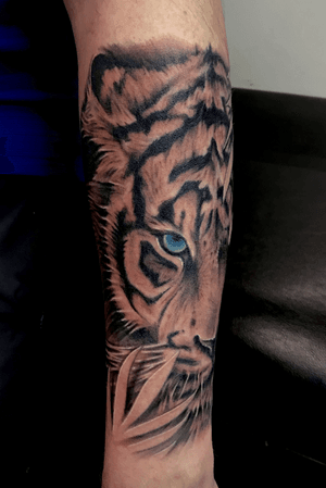 Tiger half sleeve done at Rising Tide Tattoo  #tiger #tigertattoo #blackandgreytiger #blueeyedtiger #halfsleeve #bishoprotary #leaf #leaftattoo #oahu #hawaii #hawaiitattooshop #risingtidetattoo #wahiawa #electrumstencilproducts