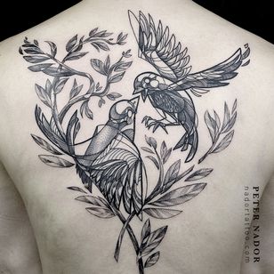Bird tattoo by Peter Nador #PeterNador #bird #illustrative #tree #plant #leaves