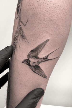 #tattoo #tatuaggio #inked #tattooartist #illustration #design #finelinetattoo #singleneedletattoo #blackandgreytattoo #blackwork #dotwork #swallow #swallowtattoo #smalltattoos #art #bodyart #naturelover #ink #miniature #realistictattoo #inkig #ink_ig
