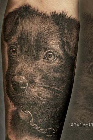 Realistic black and grey dog portrait tattoo.