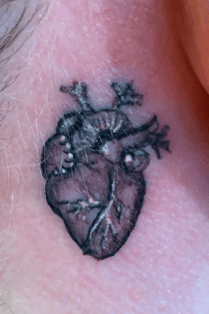 Realistic baby heart black and grey 