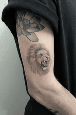 Roaring Lion For Tommaso, Info sourya.ttt@gmail.com - Done @saint_anthony_tattoo_pd Using @sunskintattoo @kwadron @hustlebutterdeluxe @pantheraink @dermalizepro - #singleneedle #nature #realistictattoo #finelinetattoo #singleneedletattoo #tats #realistictattoo #microtattoo #inked #inked #tattoo #lion #liontattoo #irezumi #blackandgrey #black #padova #venice #nature #d_world_of_ink #southcitymini #blxckink #tttism #inkstagram #tattooofinstagram #tattooartist #tattooinspiration #smalltattoos #na_no_ttt #nanottt