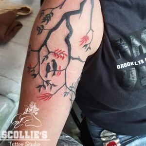 Using Dynamic triple black @scollie_ink_tattoo 