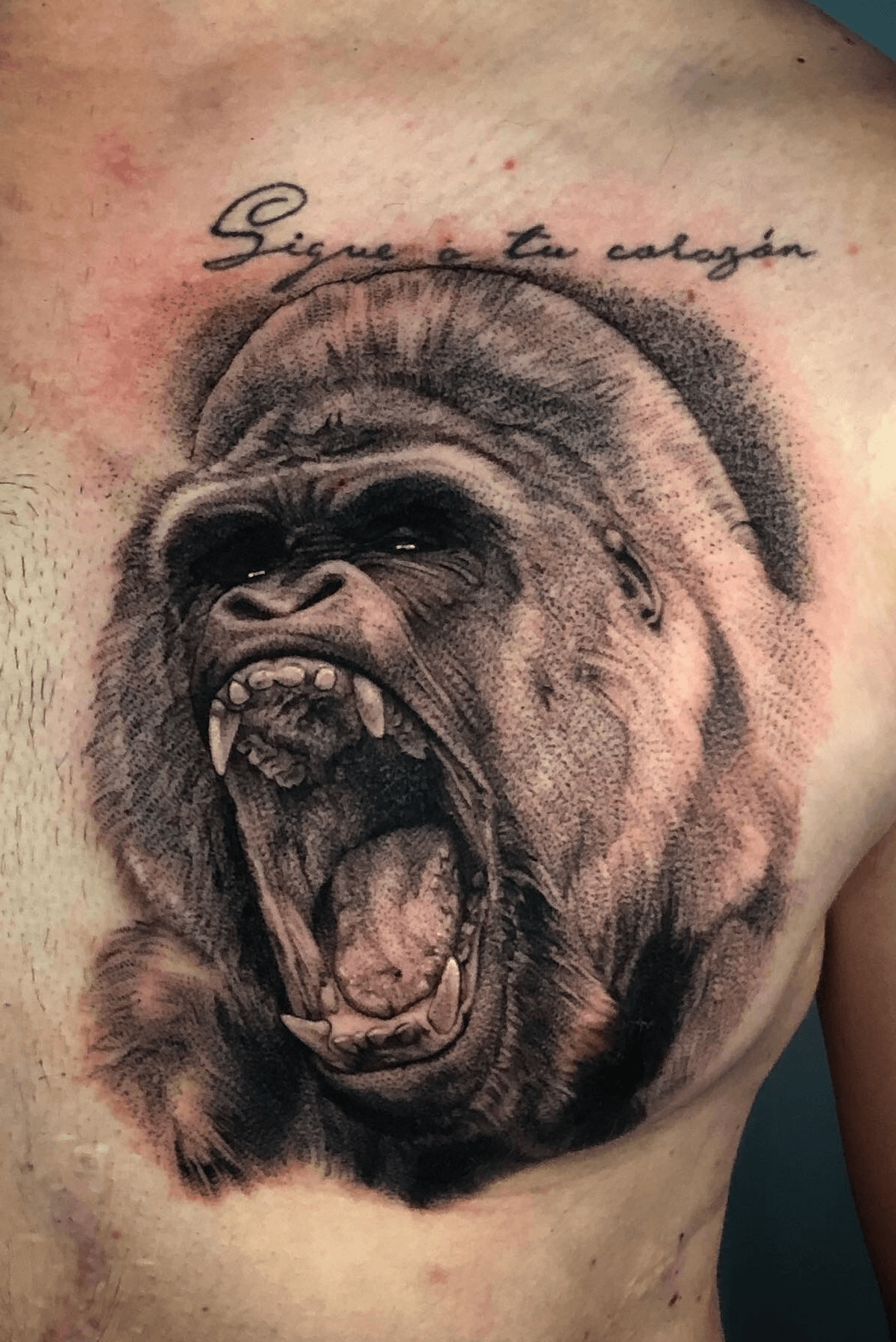 Devils Own Tattoos ar Twitter Fantastic black and grey realistic style  gorilla to the chest combined with a snake in the reeds further towards  the shoulder by Thrax httpstcoAmtPmuOywh  Twitter