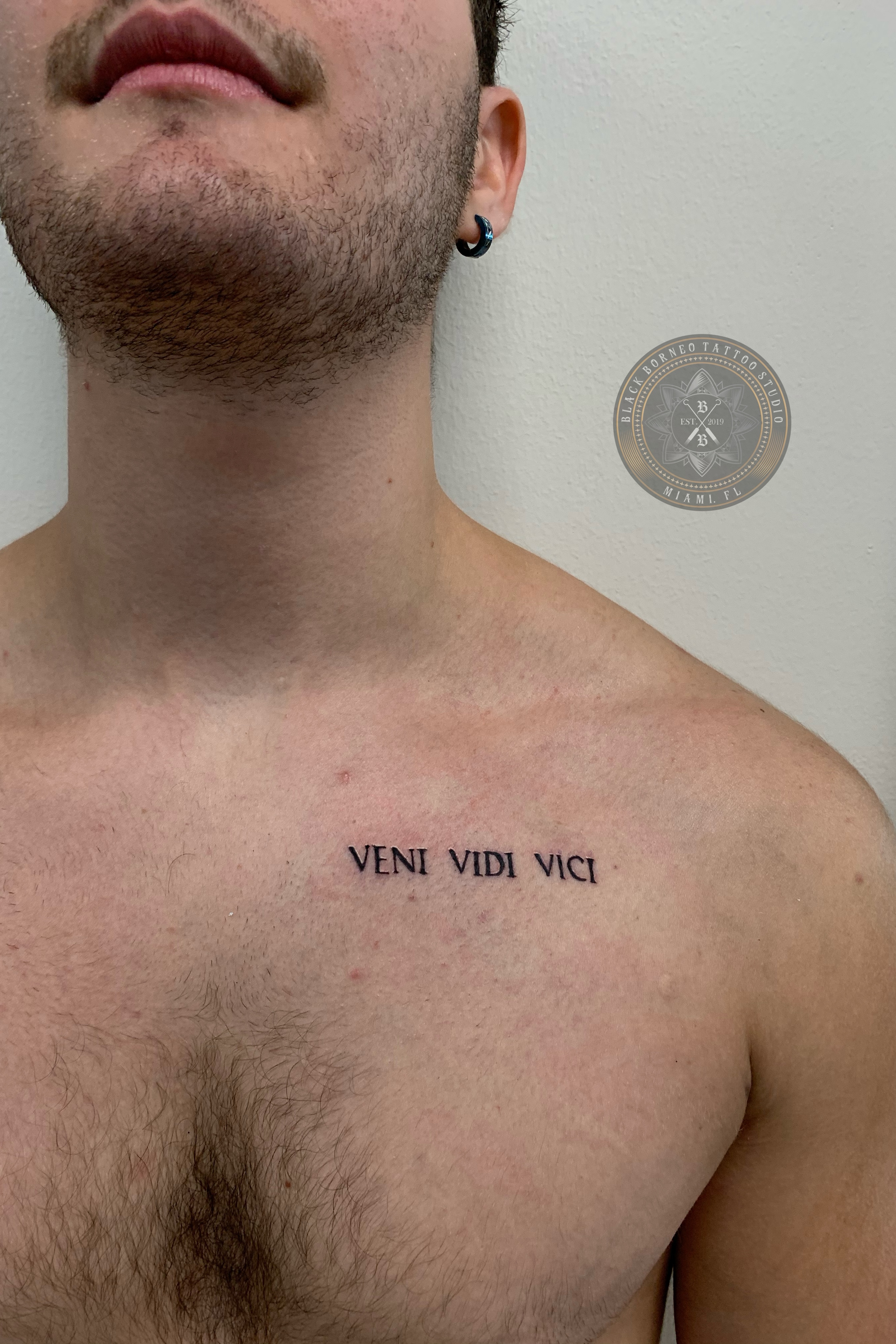 Veni Vidi Vici Tattoo Designs and Meanings 