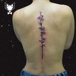 Colored sakura branch on the spine