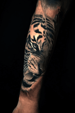Healed #tattoos #tattoo #miamitattoo #miamitattoos #tiger #blackandgray