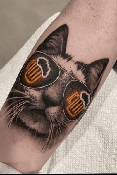 Cat with glasses 