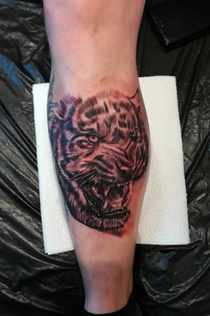 Lion Tattoo by me