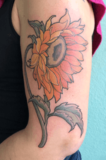 #sunflower #floraltattoo #flowertattoo #flowertattooberlin #tattooberlin #botanic #neotraditional