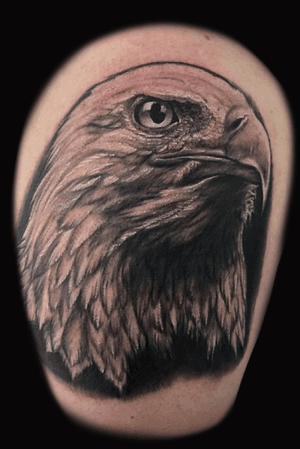 American Eagle black and grey tattoo realism 