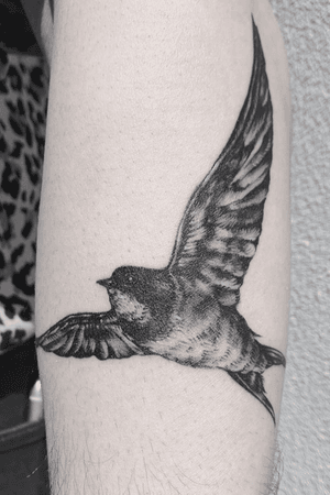 #blackandgrey #black #grey #whiteink #bird #armtattoo #arm #forearm #forearmtattoo #swallow #swallowtattoo #birdtattoo #melbourne #melbournetattoo