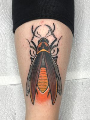 Neo traditional firefly on the shin 🧡(Artist IG: @tattoos.by.bubi)#neotraditional #neotrad #neotraditionaltattoo #firefly #insect #insecttattoo #naturetattoo #nature #hungary #hungariantattoo #shintattoo 