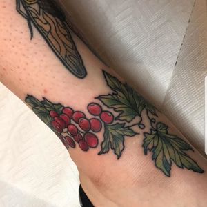 Neo traditional red currants around the ankle ❤ (Artist IG: @melikovacs) #neotraditional #neotrad #neotraditionaltattoo #botanical #botanicaltattoo #nature #naturetattoo #redcurrant #hungary #hungariantattoo #MelindaKovacs #ankle #ankletattoo #anklebracelet 