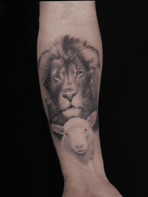 Lion & Lamb tattoo by Josh Delaughder.