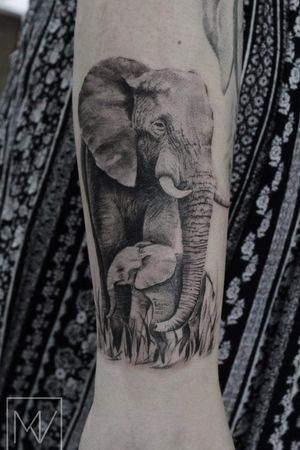 Elephant realism